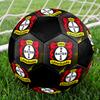 SIZE 5 Bayer 04 Leverkusen Soccer Ball Colorful All Ages Machine Stitched PVC Competition Ready Durable High-Bounce