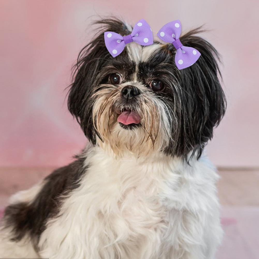 Puppy Hair Bow Puppy Hair Accessory Set Handmade Dog Hair Bowknot Set with Rubber Bands for Small Pets Party Christmas Birthday