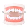Teeth Braces Heart Shape Cubic Zirconia Men Women Hip Hop Vertical Stick Braces for Halloween
