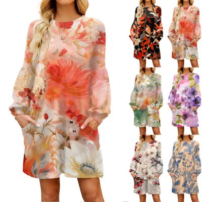 Fashion Womens Long Sleeve A Line Dress Fall Casual Pullover Crewneck Loose Fit Dress With Pockets