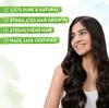 Mamaearth Rosemary Hair Scalp Serum 50ml | Controls Hair Fall & Increases Hair Density for Thicker Hair