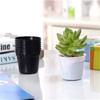 20 STÜCK Mini Anzuchttopf Set Rund Kunststoff Blumentopf Anzucht mit Drainagelöchern Nützliches Gartenzubehör Anzuchtbedarf ZYF