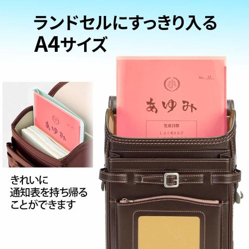 Plus Clear Holder Report Card Holder Pocket Holder 6 pockets Can accommodate two-page spread FL-200SF 6 colors 1 piece of each color