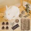 Durability Molar Tool Suit Straw Woven Bed Mats Interactively Pet Chewing Toy for Exercise and Teeth Care