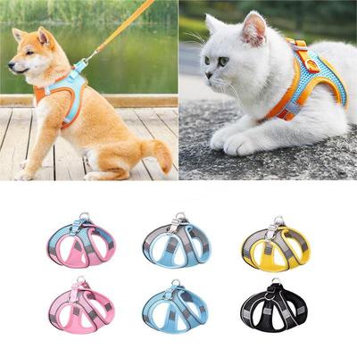 Perros – Collares y correas