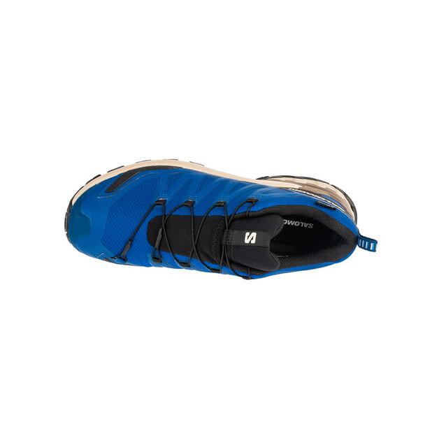 Беговые кроссовки Salomon XA Pro 3D v9 GTX