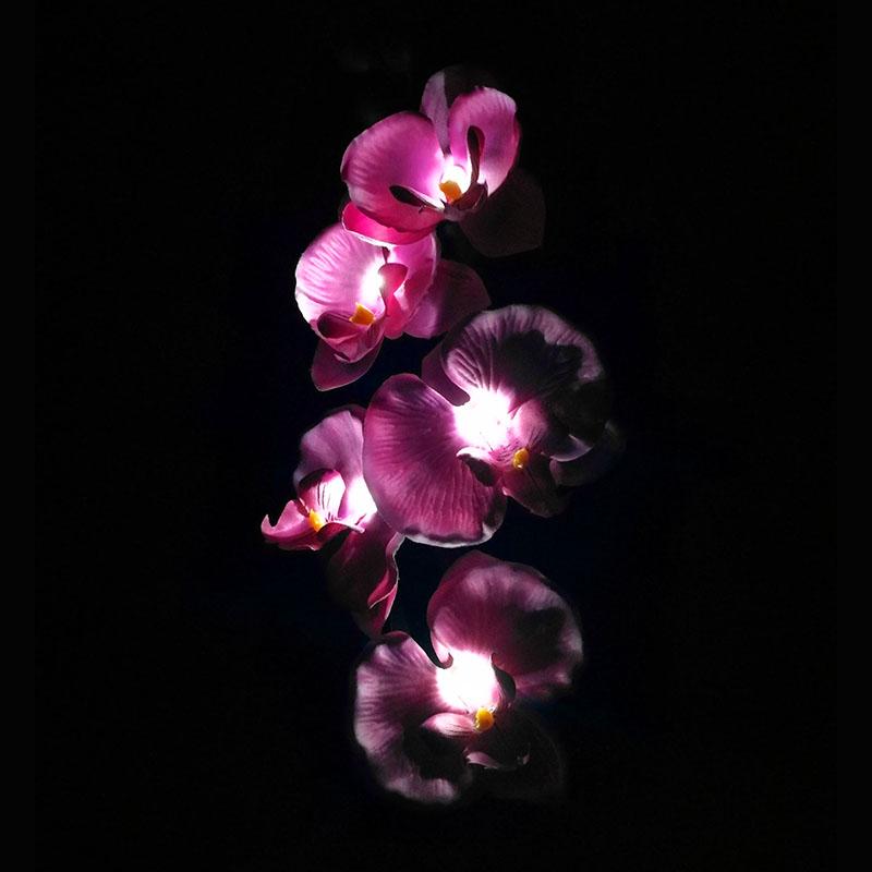 Outdoor Solar Lights, Waterproof Butterfly Orchid Garden Light, Decorative Flower 5 LED Lamp, Landscape Lighting for Lawn Patio Pathway Driveway