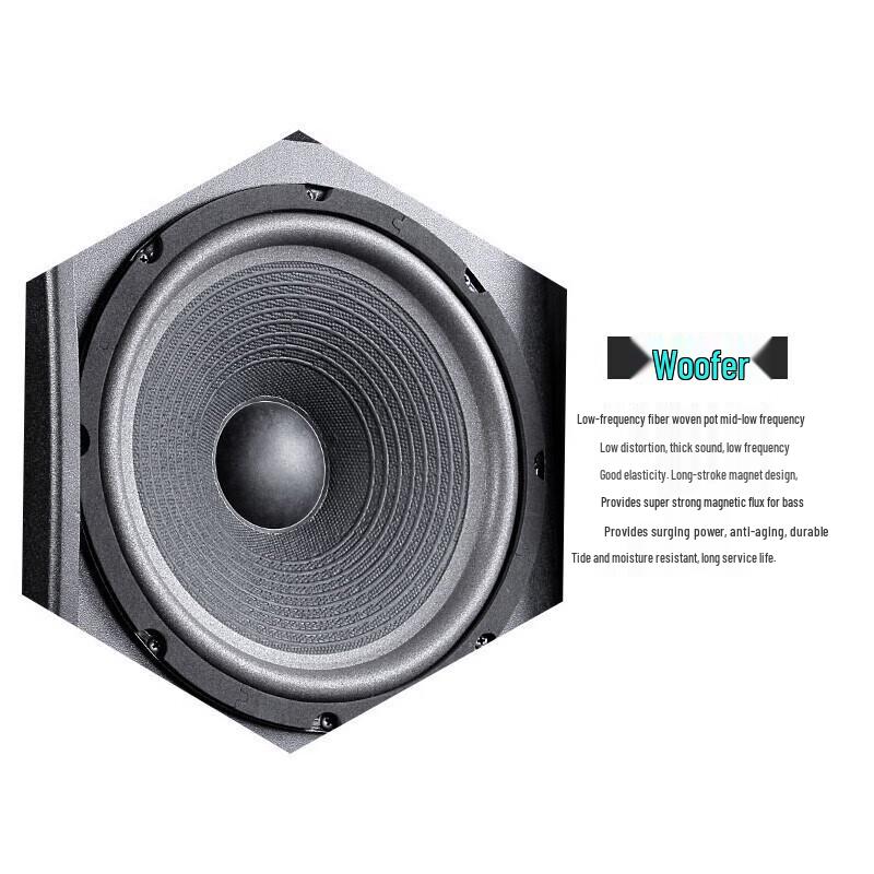 SAST Professional KTV & Conference Passive Speakers