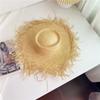 Summer Wind Big Brim Raffia Straw Hat Women's Beach Hat Travel Seaside Vacation Sun Hat