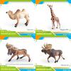 Wildlife Animal Model Set Pvc Camel Giraffe Educational Collectible For Kids Nature Learning