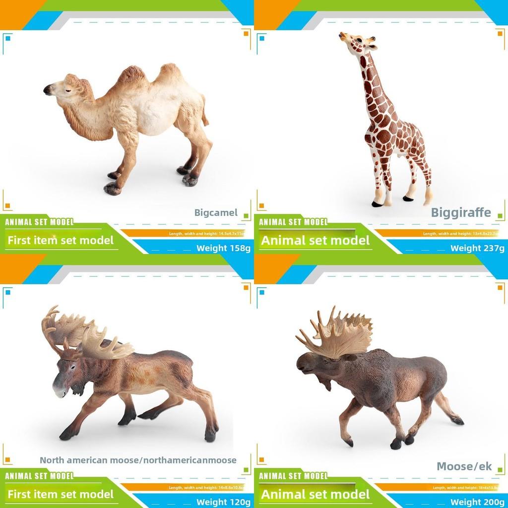 Wildlife Animal Model Set Pvc Camel Giraffe Educational Collectible For Kids Nature Learning