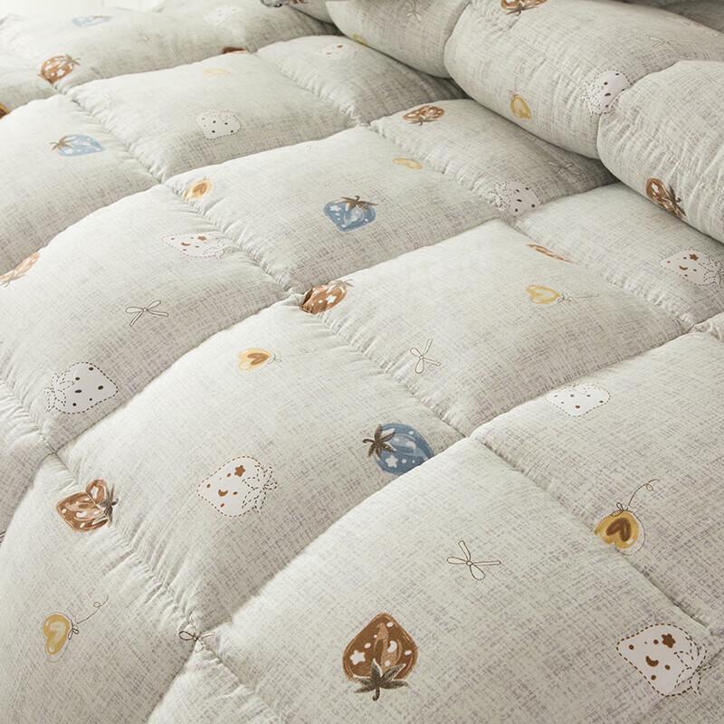FangEn FN-B6087 Constant Temperature Oxygenated Quilt