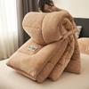 2025 Autumn/Winter Double-Sided Milk Velvet Thickened Warm Quilt
