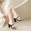 2025 New Summer Fashionable Sexy Coarse Heel Sandals Elegant Charming Banquet Party High Heels Slippers Trend All-match