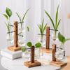 Hydroponic Glass Vase Vintage Desktop Plant Terrarium Planter Bulb Water Planting Propagation Vase Planters Hydroponics Plants