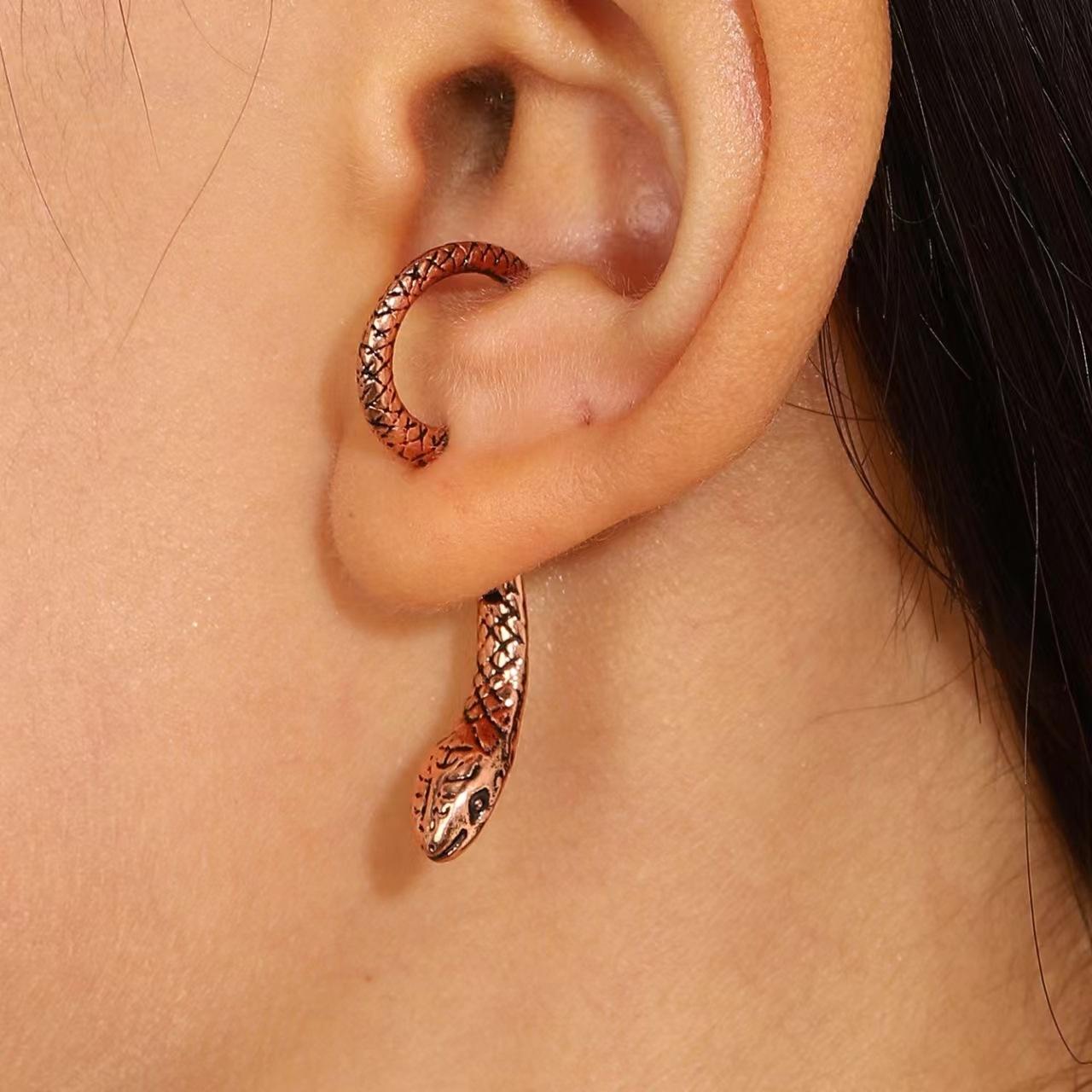 

Amazon 2025 креативные серьги-пусеты в виде змеи женские преувеличенные модные носимые с чувством дизайна серьги-животные нишевые аксессуары