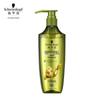 Schwarzkopf Ginger Essence Oil Control Shampoo