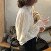 Hollow Out Frosted Lace Blouse Spring Autumn Top Women Korean Slim Fit Zippered Half High Collar Base Shirt