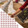 50Pcs Plant Grafting Clip Plastic Plants Graft Clips For Cucumber Watermelon easy to use  Anti-fall Clamp Gardening Tool