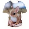 3D Rabbit Print Short Sleeve Tee Summer Kid Apparel For Daily Entertainment Outdoor Trip Weekend Family Relax Time