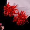 Chinese Style Women Flower Hairpin Fine Workmanship Red Lily Tassel Hairpin for Birthday Stage Party Show