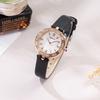 Fashion Diamond-Encrusted Ladies Watch Light Luxury Fritillary Round Dial Belt Waterproof Rose Gold Watch