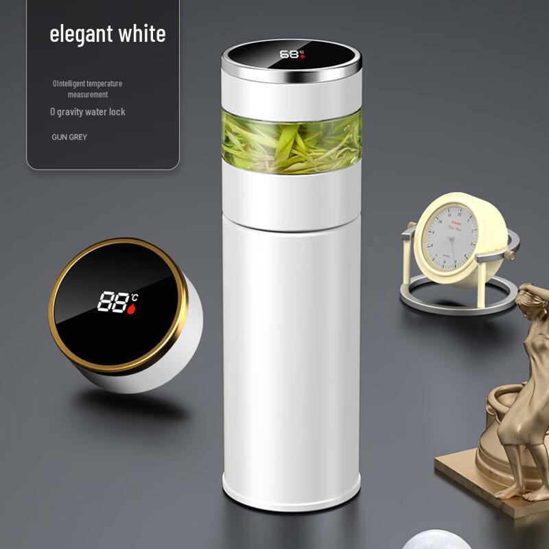 Shangqi Smart Portable 316 Stainless Steel Tea Infuser Bottle