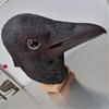 Halloween Full Head Bird Mask Animal Crow Mask for Women Man Masquerade Party Cosplay Party, Halloween Bird Latex Mask