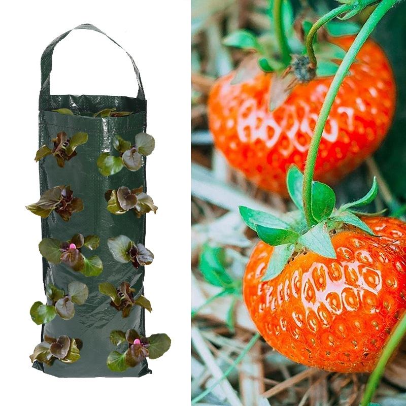 10Hole Grow Bag Strawberry Potatoes Tomatoes Planting Bag Home Garden Seeding Bag Flower Plant Holder Garden Accessories