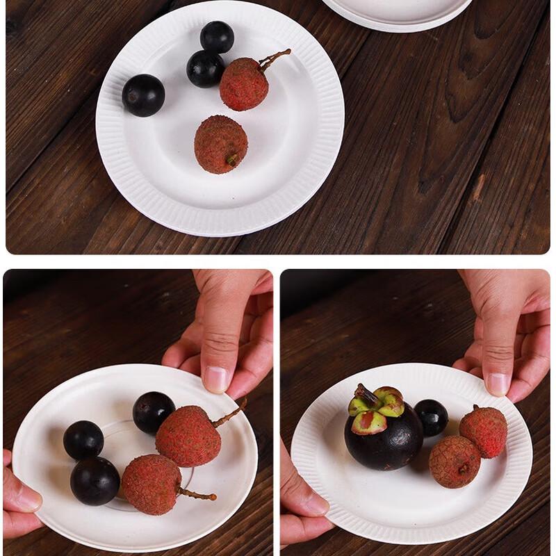 Disposable Plastic Plates, 50-Pack