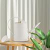 Decorative Watering Can with Detachable Spray Head Long Nozzle for Household