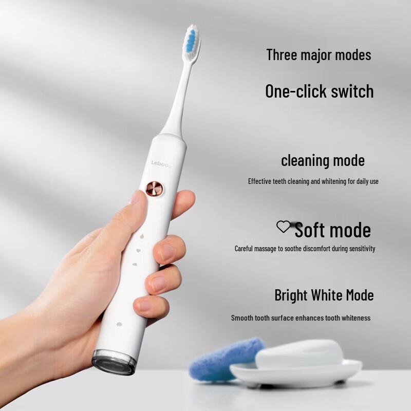 Lebooo C101 Sonic Electric Toothbrush
