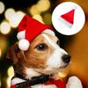 Red Plush Christmas Hat for Pets - Festive Ornament for Dogs & Cats