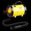 2800W Pet Fur Dryer Grooming Blower Dog Cat Hairdryer Blaster Heater Low Noise New