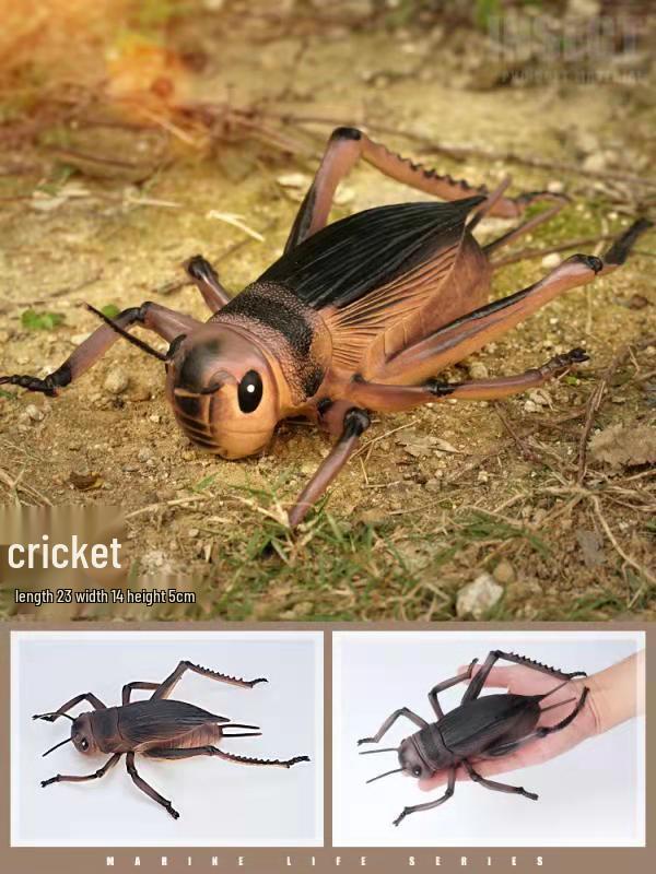 Large Insect and Reptile Toy Models: Scorpion & Spider Simulation