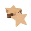 Pentagram Kraft Paper Hang Tag & Hand-Painted Bookmark