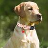 Fruit Print Dog Strawberries Collar Soft Adjustable Dog Necklace Comfortable with Pendant Cat Watermelon Collar Pet Accessories