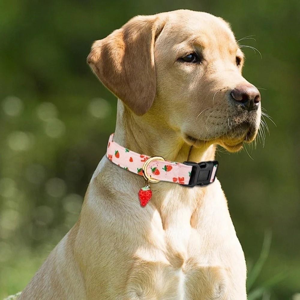 Fruit Print Dog Strawberries Collar Soft Adjustable Dog Necklace Comfortable with Pendant Cat Watermelon Collar Pet Accessories