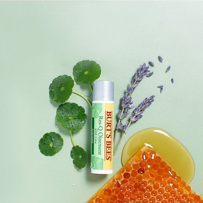 BURT’S BEES Burt’s Bees Rescue Ointment Cica Stick Selection - Burt s Bees Rescue Ointment Cica Stick