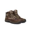 Треккинговые ботинки Timberland Chocorua Waterproof