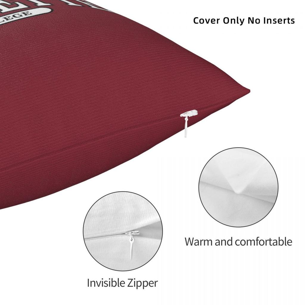 Lafayette College Serif Font Curved Square Pillowcase Polyester Linen Velvet Creative Zip Decor Sofa Cushion Case