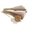 Boho Dried Flowers Bouquet Pampas Grass Dried Bunny Tail Grass Reed Grass Kit for Flower Arrangement Type 1