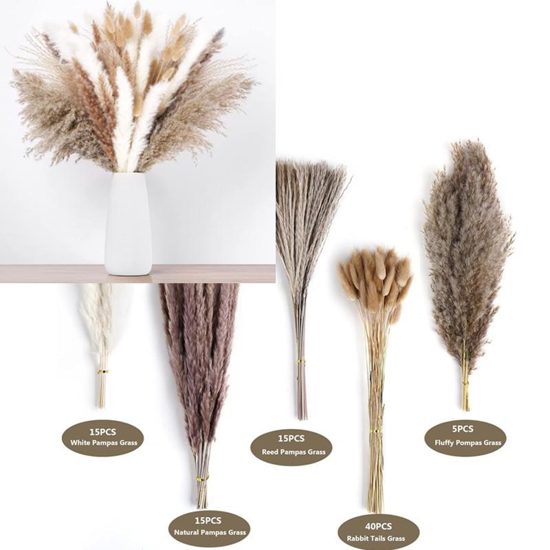 Yunnan Small Reed Dried Flower Bouquet Small Whisk Small Pupa Reed Grass Dried Reed Rabbit Tail Grass