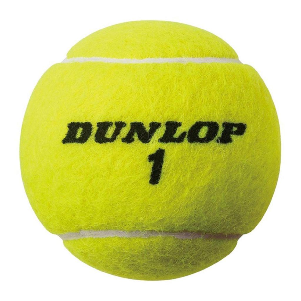 DUNLOP Tennisball AUSTRALIAN OPEN 2 Bälle x 1 Flasche DAOYL2TIN Gelb