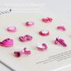 Plum Bowknot Heart Pearl & Bear Nail Art Decorations - 5 Pcs