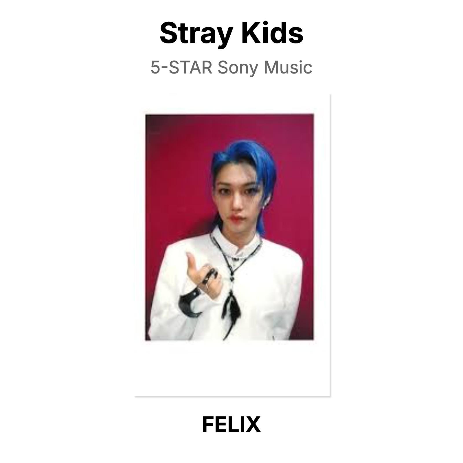 Stray Kids 5-STAR Официальная фотокарточка Sony Music FELIX