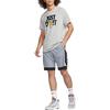Nike Casual Shorts Men's Gray Moderate DH7142-065