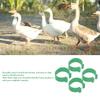 100 Pcs Poultry Feet Ring Open Type Buckle Breeding Chicken Duck Goose Foot Ring Chicken Accessory Green 16mm