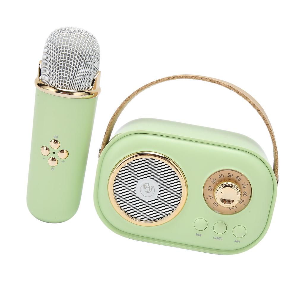 Wireless Bluetooth Speaker with Microphone Portable Rechargeable Mini Mics Speaker Set for Home