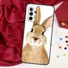 Cute Bunny Rabbit For Samsung Galaxy A15 A55 A53 A33 A35 A22 A32 A52 A54 A34 A14 A56 A36 A26 A16 A05 A06 Case